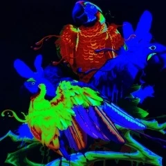 حبر التسامي HD-NEON