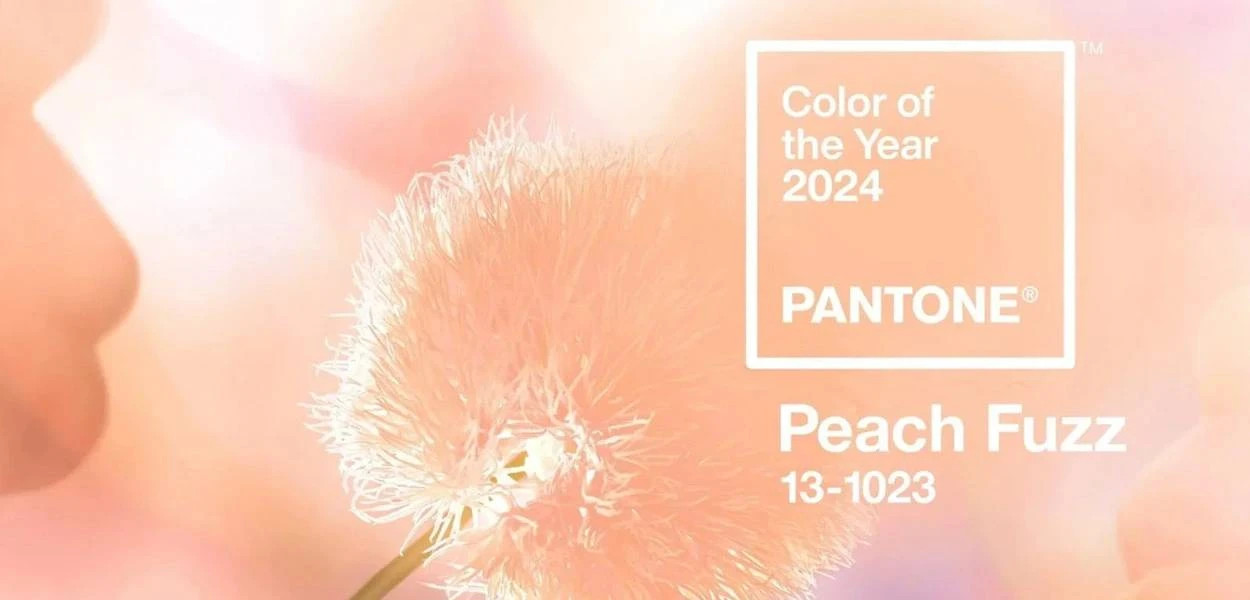 كيفية استخدام Peach Fuzz - Pantone Color of 2024؟